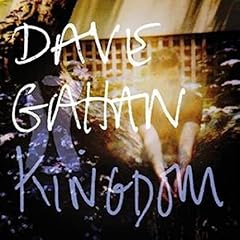 Kingdom usato  Spedito ovunque in Italia 