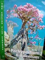 Pachypodium adenium for sale  Delivered anywhere in Ireland