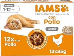 Iams advanced nutrition usato  Spedito ovunque in Italia 
