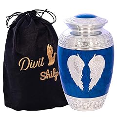 Divit shilp urna usato  Spedito ovunque in Italia 