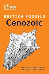 British cenozoic fossils for sale  Delivered anywhere in UK