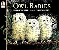 Owl babies for sale  Delivered anywhere in USA 