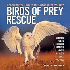 Birds prey rescue for sale  Delivered anywhere in USA 