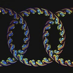 Lateralus picture vinyl gebraucht kaufen  Wird an jeden Ort in Deutschland