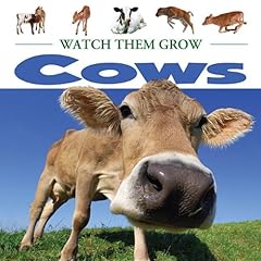 Cows usato  Spedito ovunque in Italia 