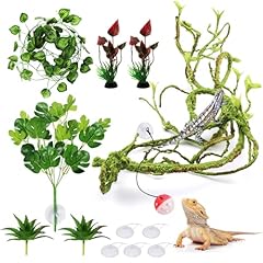 Bearded dragon accessories for sale  Delivered anywhere in UK