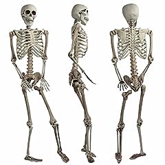 Halloween decoration skeleton for sale  Delivered anywhere in Ireland