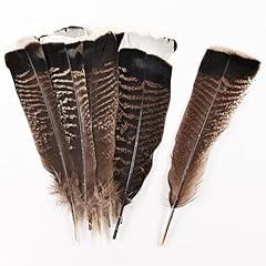 Daieeparty 12pcs natural for sale  Delivered anywhere in USA 
