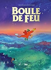 Boule feu d'occasion  Livré partout en Belgiqu