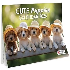 2026 calendar cute for sale  Delivered anywhere in UK