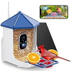 Solareye bird feeder for sale  Delivered anywhere in USA 