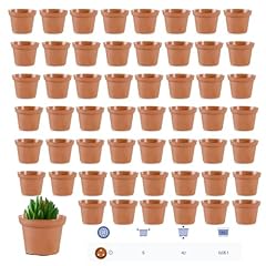 Red dragon seeds for sale  Delivered anywhere in UK