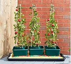 Garden mile tomato for sale  Delivered anywhere in UK