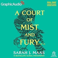Court mist fury for sale  Delivered anywhere in USA 