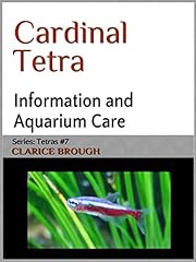 Cardinal tetra for sale  Delivered anywhere in USA 