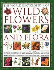 Wild flowers flora for sale  Delivered anywhere in UK