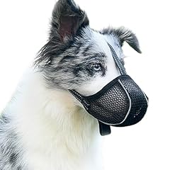 Muselière chien empêche d'occasion  Livré partout en France