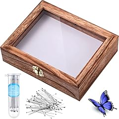 Insect display case for sale  Delivered anywhere in USA 