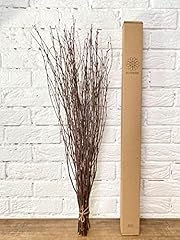 Ecovenik psc branches for sale  Delivered anywhere in USA 