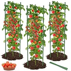 Mymulike pack tomato for sale  Delivered anywhere in USA 