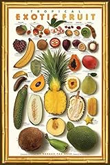 Picture peddler tropical for sale  Delivered anywhere in USA 