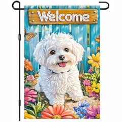 Blissyard bichon frise for sale  Delivered anywhere in USA 
