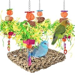 Erkoon cockatiel budgie for sale  Delivered anywhere in UK