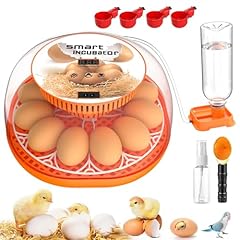 Incubators hatching eggs for sale  Delivered anywhere in USA 