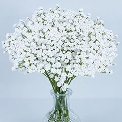 Maqiahn baby breath for sale  Delivered anywhere in USA 