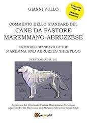 Commento dello standard usato  Spedito ovunque in Italia 