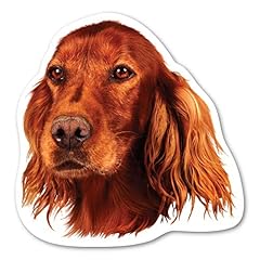 Magnet america irish for sale  Delivered anywhere in USA 