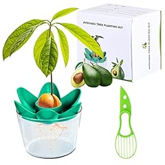 Herefun avocado plant d'occasion  Livré partout en France