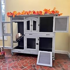 Gutinneen guinea pig for sale  Delivered anywhere in USA 