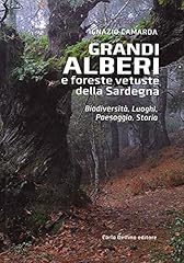 Grandi alberi foreste usato  Spedito ovunque in Italia 