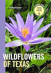 Wildflowers texas for sale  Delivered anywhere in USA 