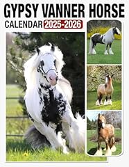 Gypsy vanner horse for sale  Delivered anywhere in USA 