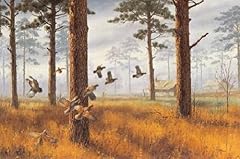 David maass among for sale  Delivered anywhere in USA 