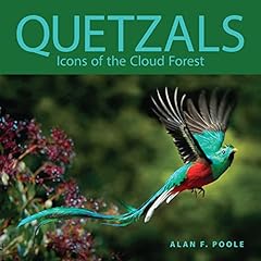 Quetzals icons cloud for sale  Delivered anywhere in UK