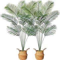 Mosade artificial areca for sale  Delivered anywhere in USA 