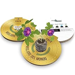 Eco decors regalo usato  Spedito ovunque in Italia 