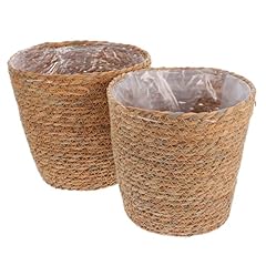 Supvox 2pcs flowerpot for sale  Delivered anywhere in USA 