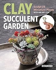 Clay succulent garden for sale  Delivered anywhere in USA 