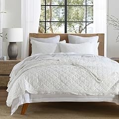 Horimote home 100 for sale  Delivered anywhere in USA 