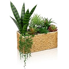 Hollyone artificial succulent for sale  Delivered anywhere in USA 