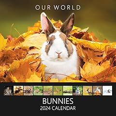 Bunnies wall calendar for sale  Delivered anywhere in UK