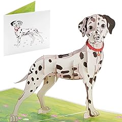 Ioyounow dalmatian pop for sale  Delivered anywhere in USA 