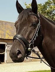 Heritage english leather for sale  Delivered anywhere in UK