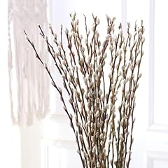 Branches pussy willow for sale  Delivered anywhere in USA 
