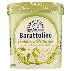 Sammontana barattolino delizie usato  Spedito ovunque in Italia 
