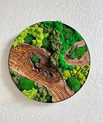 Real preserved moss for sale  Delivered anywhere in USA 